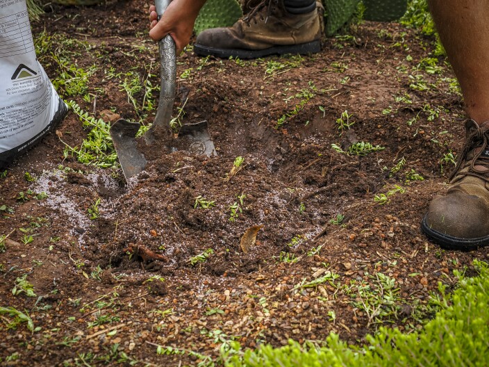 Oklahoma farmers, ranchers can earn thousands for soil conservation through state program